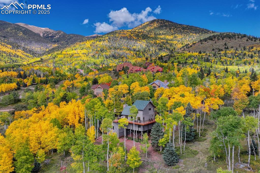 Image 44 of 50: Aerial View