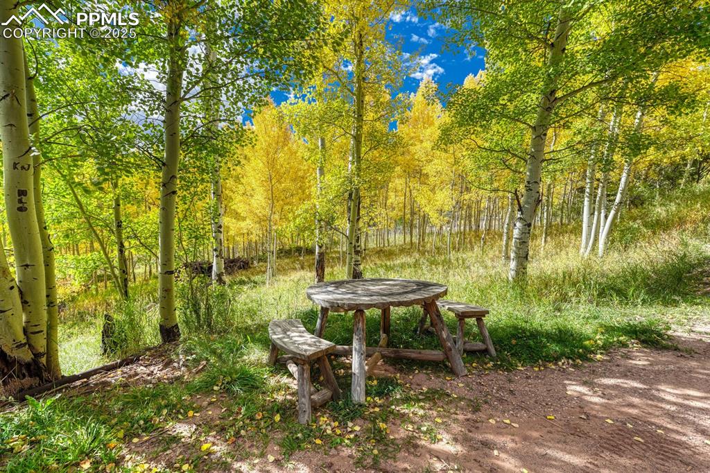 Image 46 of 50: Yard