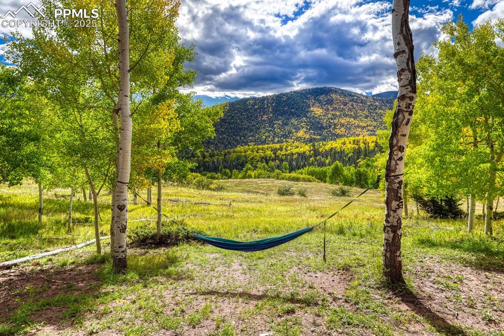 Image 47 of 50: View