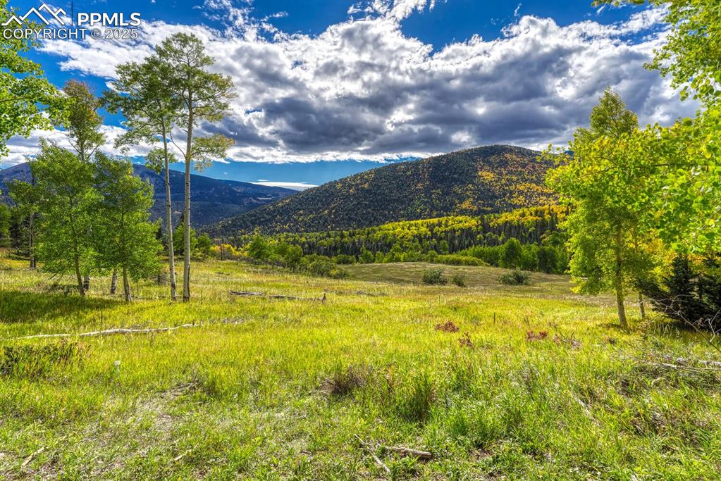 Image 49 of 50: View