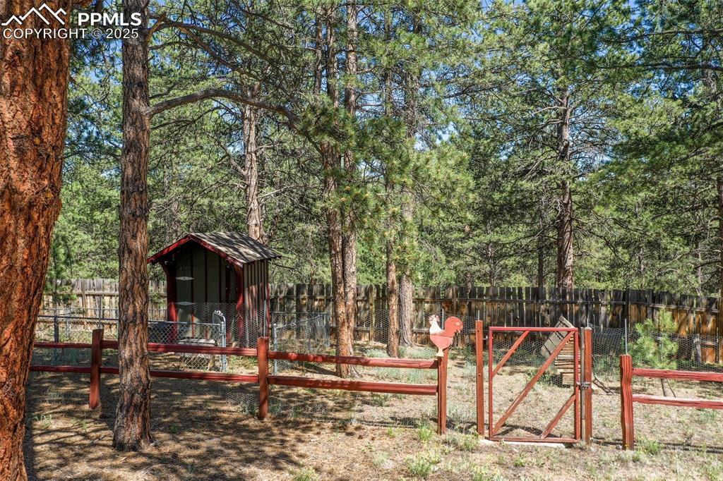 Image 7 of 48: Chicken coop area in back yard.