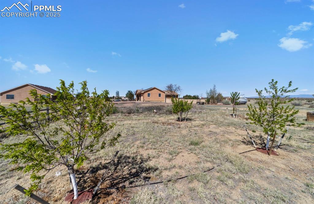 Image 21 of 21: View of yard featuring a rural view