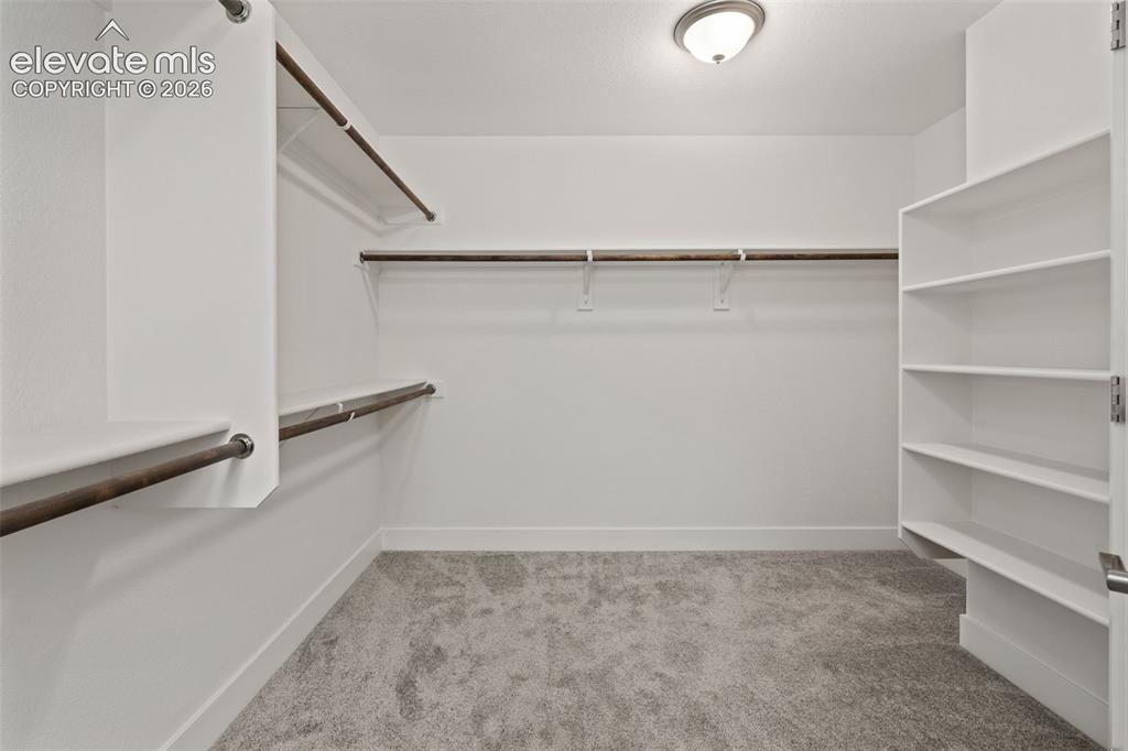 Image 27 of 50: Walk-in closet featuring carpet flooring, built-in shelving, and multiple c
