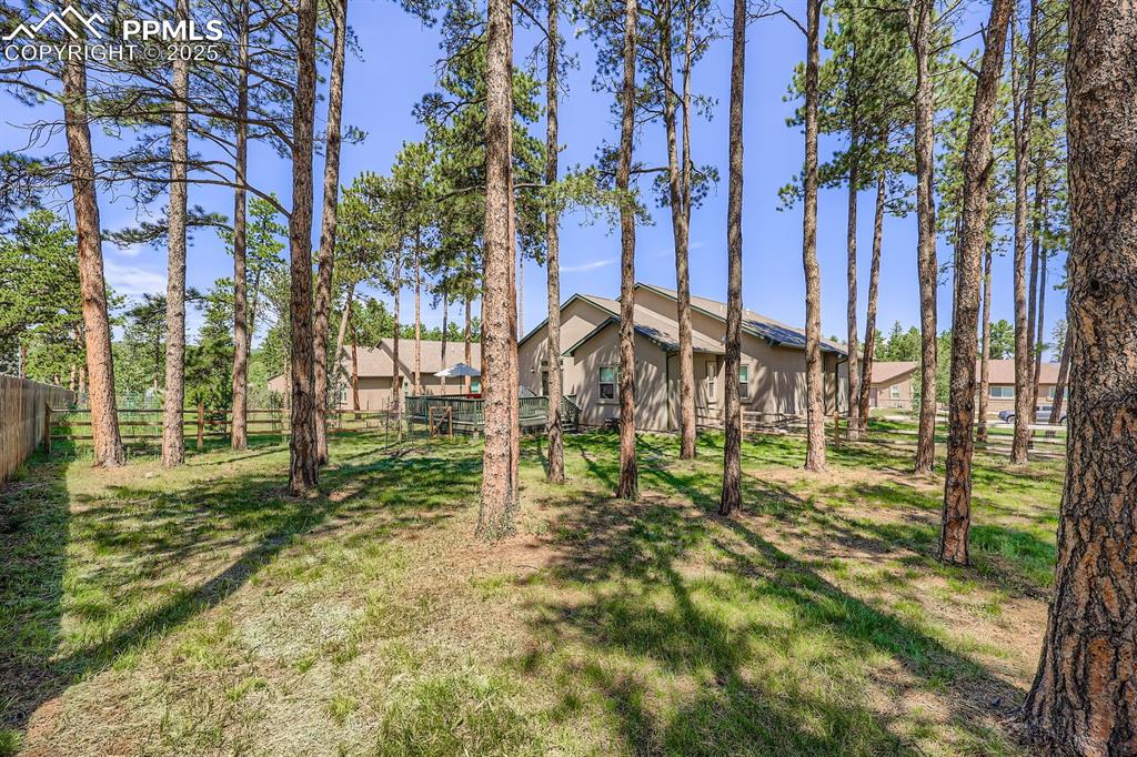 Image 28 of 29: Yard