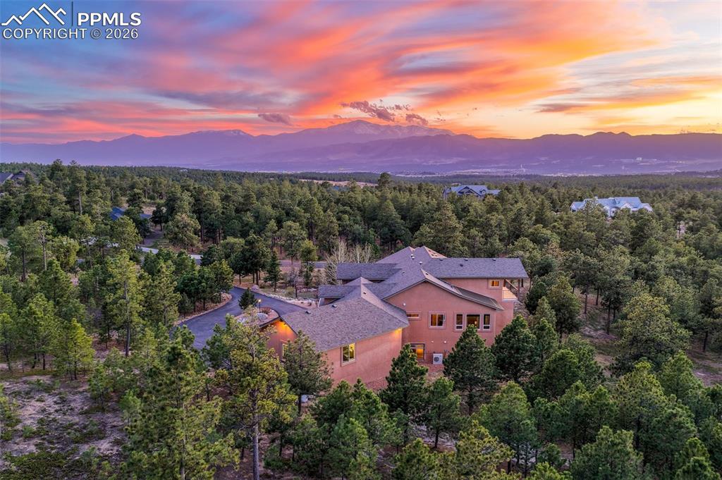 Image 3 of 50: Floor Plan