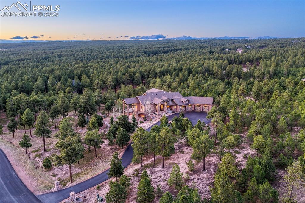 Image 7 of 50: Floor Plan