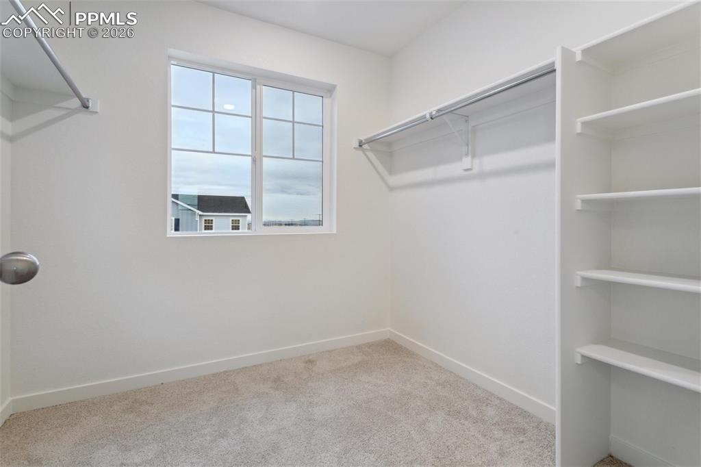 Image 19 of 32: No Description Available