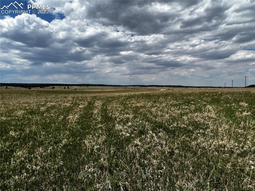 Listing 9441010, Image 11 of 35