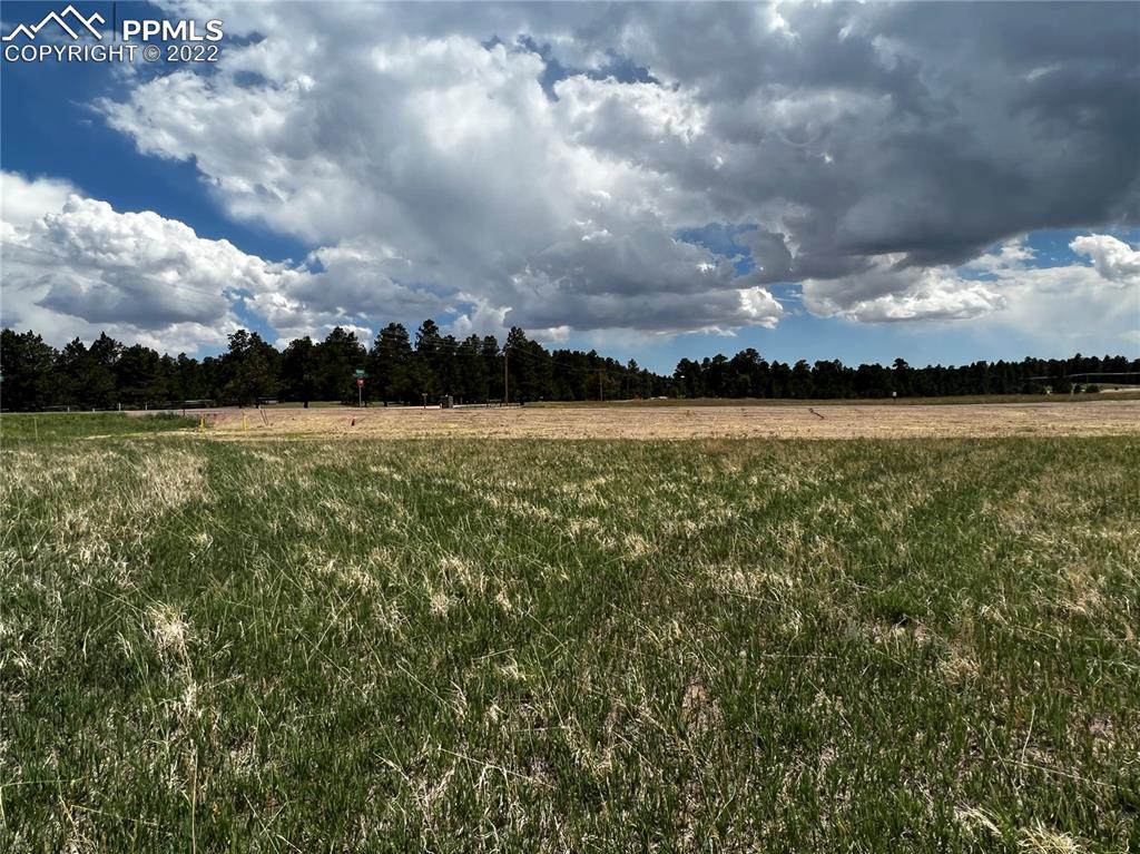Listing 9441010, Image 12 of 35