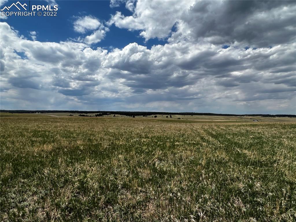 Listing 9441010, Image 7 of 35