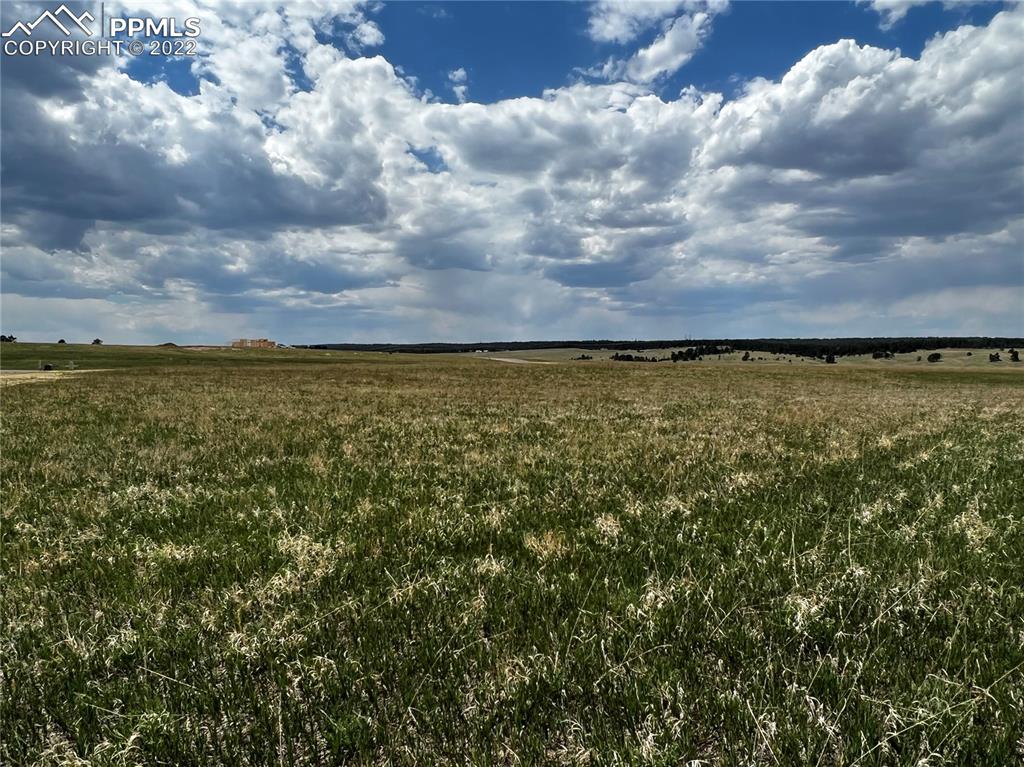 Listing 9441010, Image 9 of 35