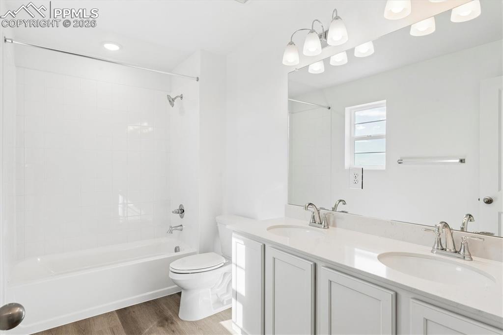 Image 19 of 22: No Description Available