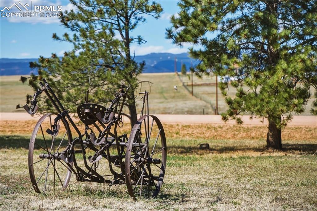 Image 45 of 45: View