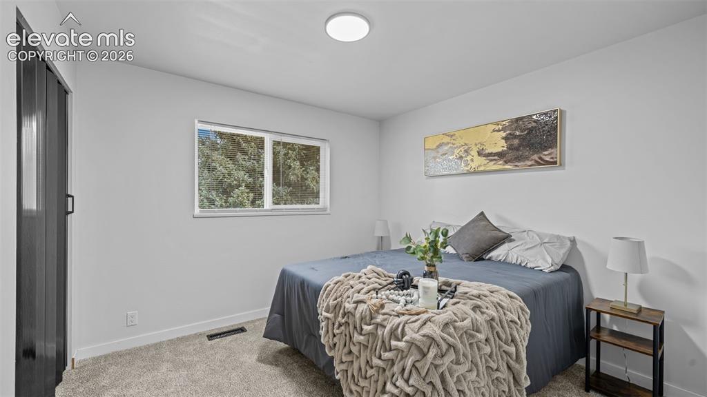 Image 10 of 21: new carpet in all the bedrooms