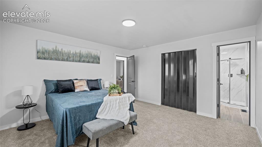 Image 13 of 21: Carpeted bedroom featuring a flush-mount ceiling light, a dark accordion-st