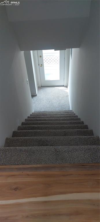 Image 30 of 46: Staircase with carpet to lower level