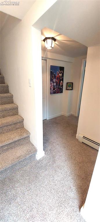 Image 33 of 46: Stairs with baseboard heating and carpet from rear enrty