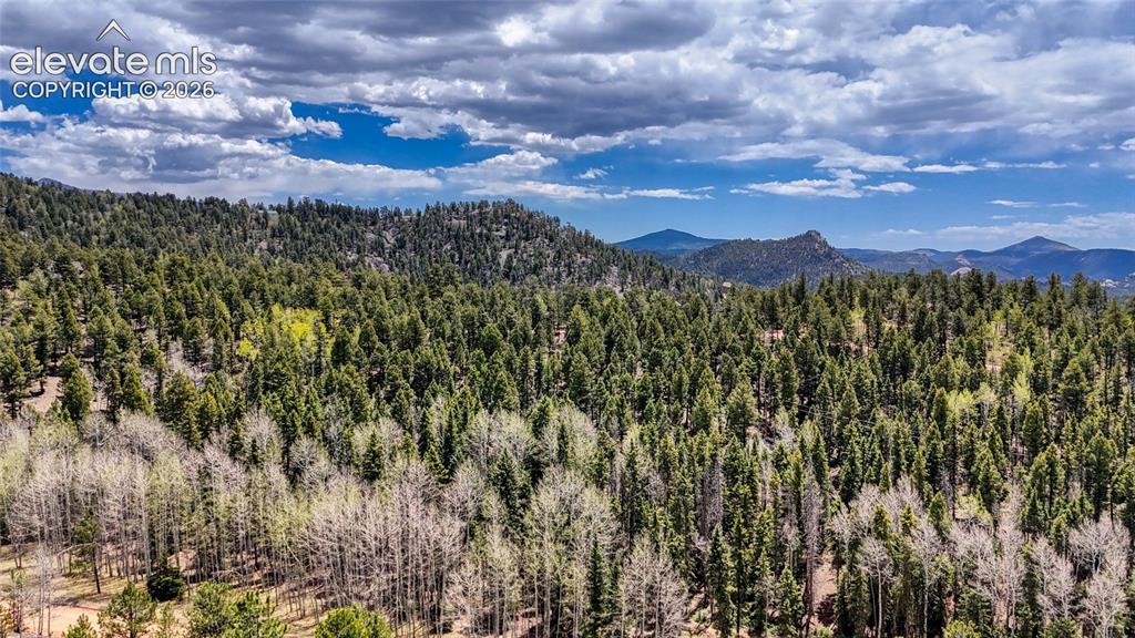 Image 19 of 21: View