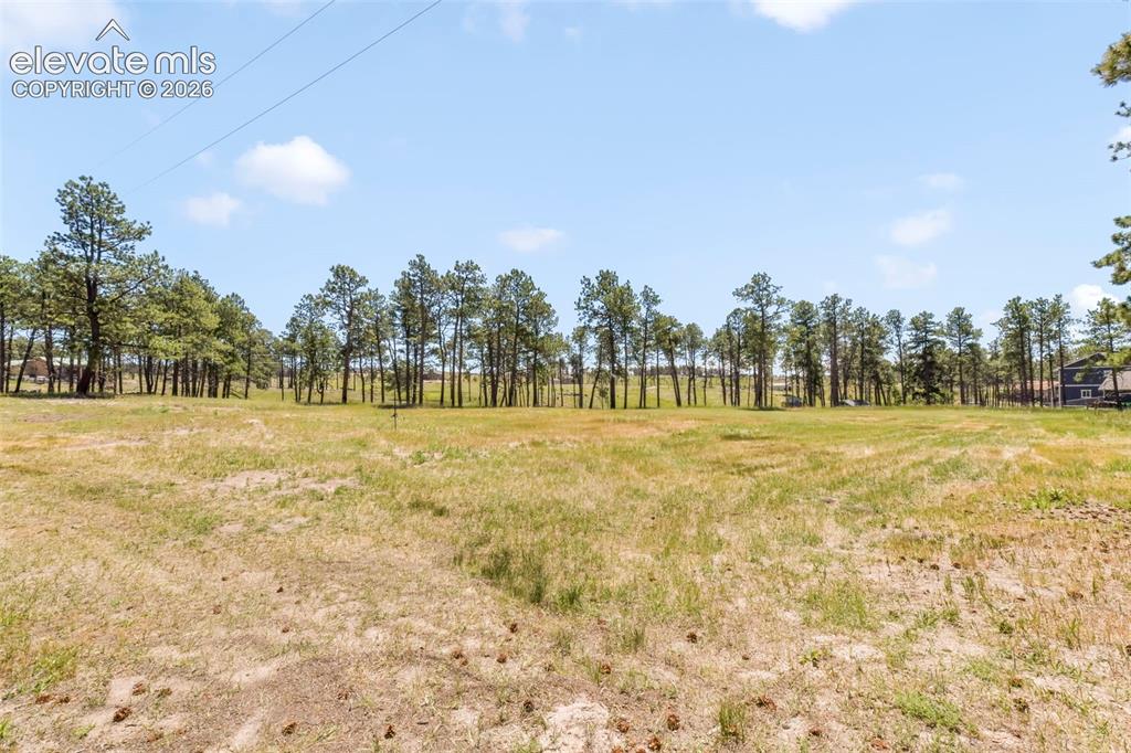 Image 45 of 50: Incredible 5 acre property with trees