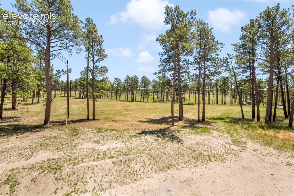 Image 46 of 50: Incredible 5 acre property with trees