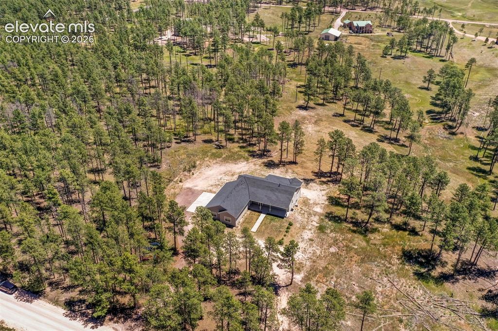 Image 47 of 50: Incredible 5 acre property with trees