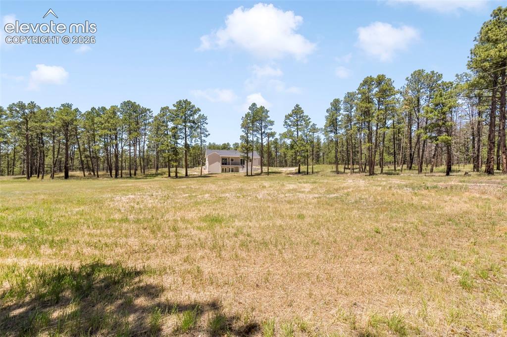 Image 48 of 50: Incredible 5 acre property with trees