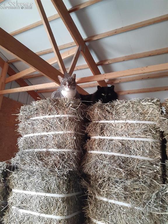 Image 49 of 49: Barn Police Included