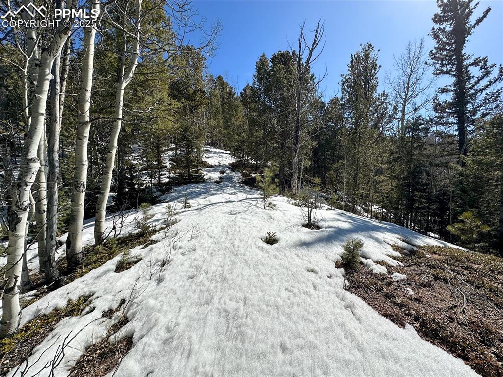 Image 13 of 50: Other