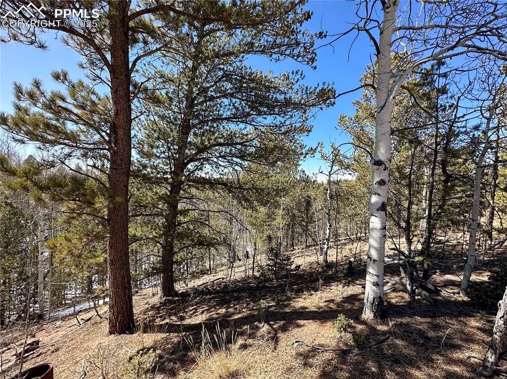 Image 15 of 50: Other