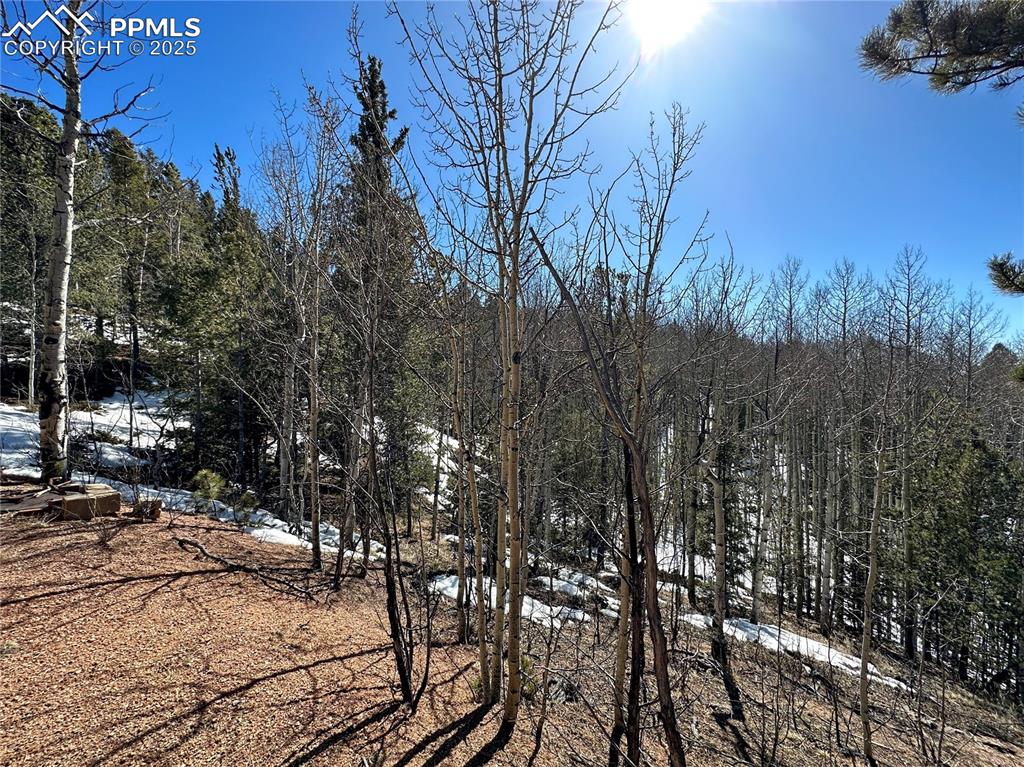 Image 17 of 50: Other