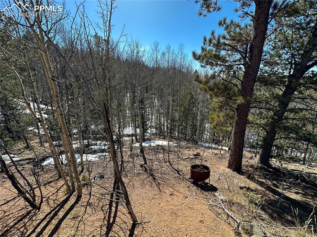 Image 18 of 50: Other