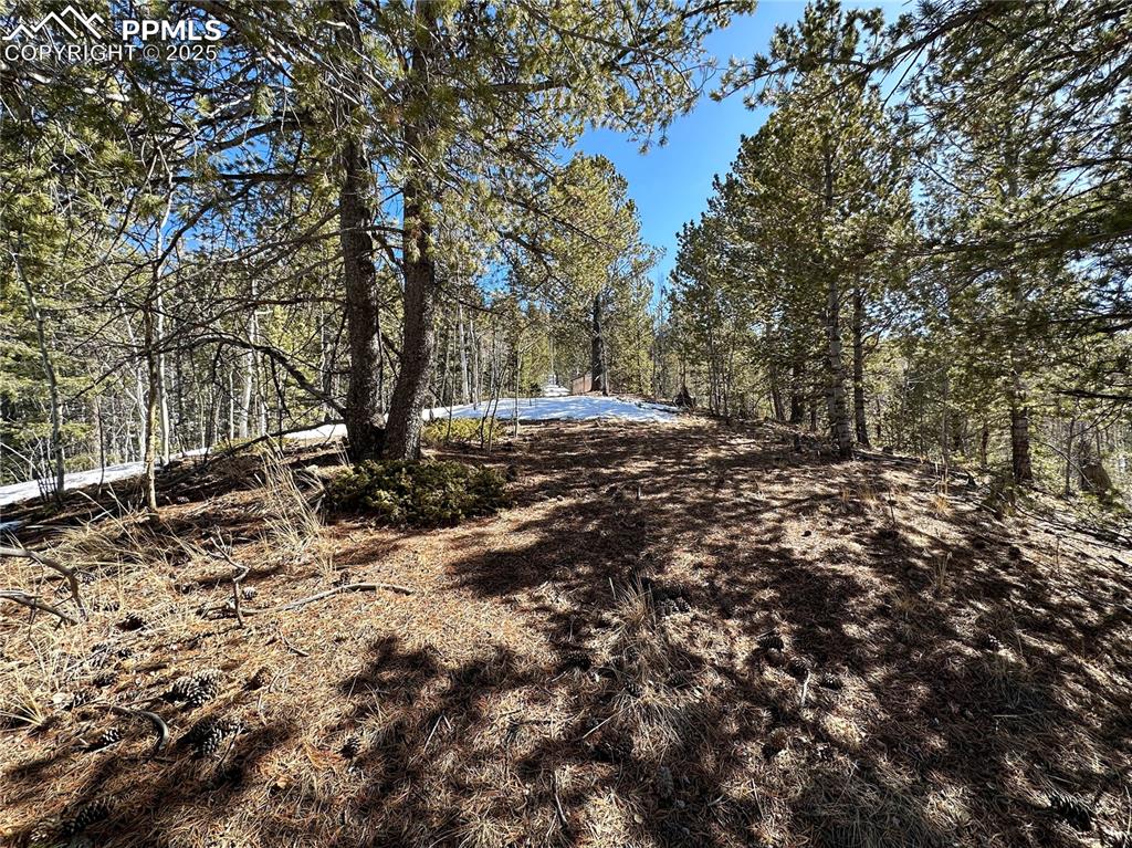 Image 23 of 50: Community