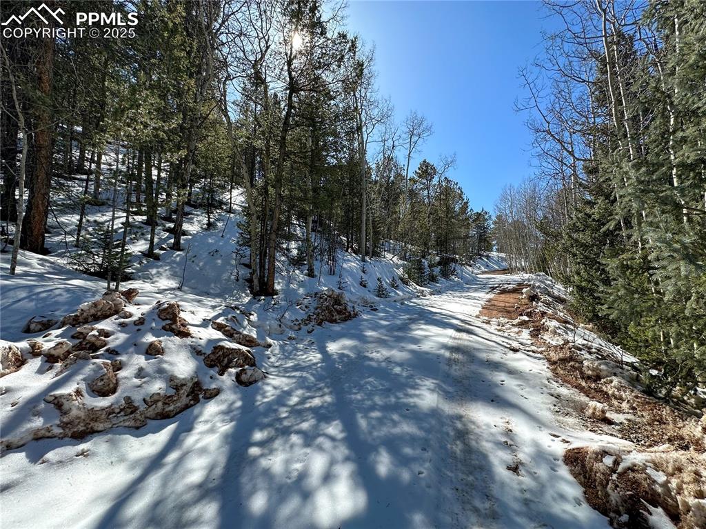 Image 24 of 50: Community