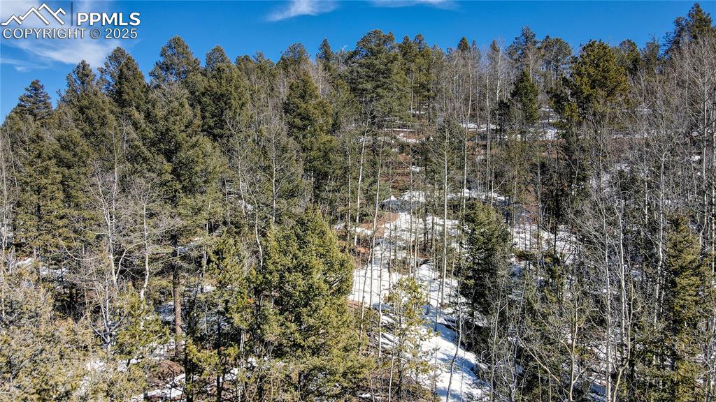 Image 36 of 50: Other