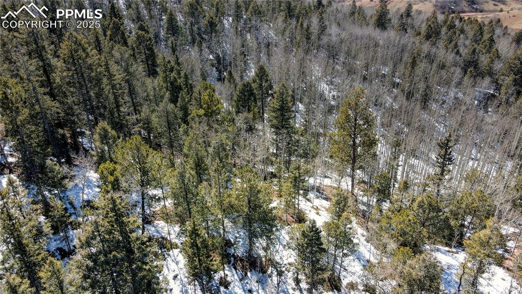 Image 43 of 50: Aerial View