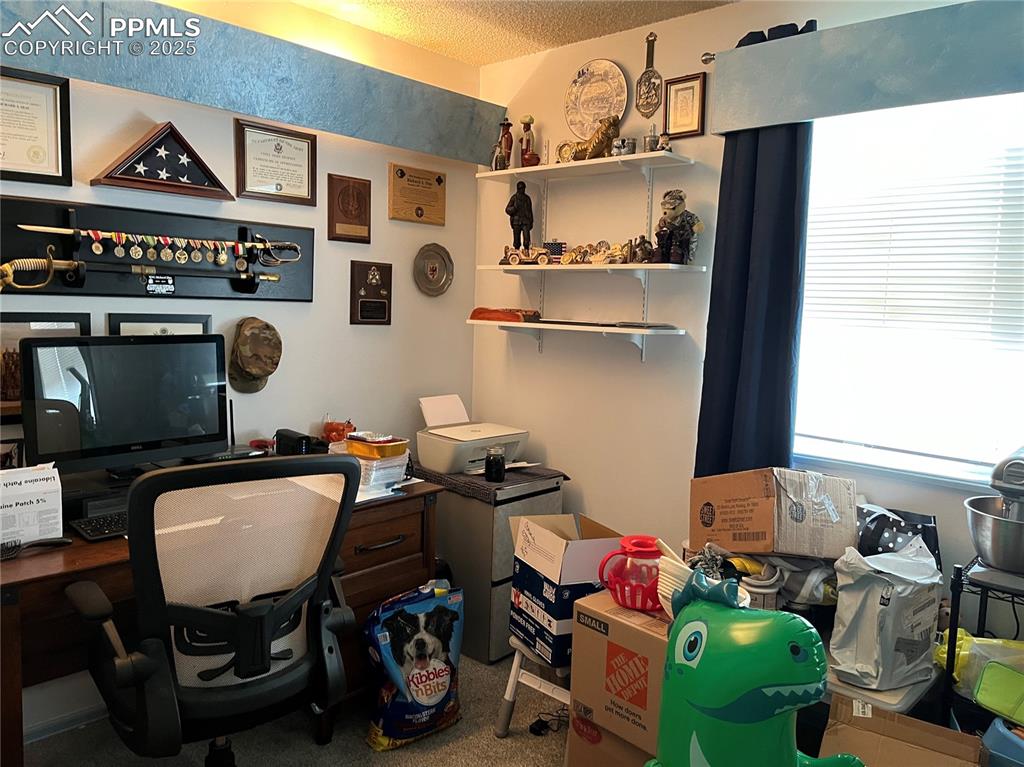 Image 10 of 17: Office with carpet floors and a textured ceiling