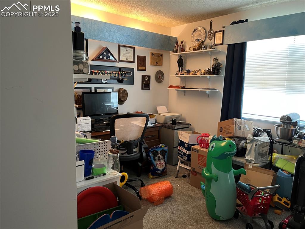 Image 11 of 17: Playroom with a textured ceiling and carpet flooring