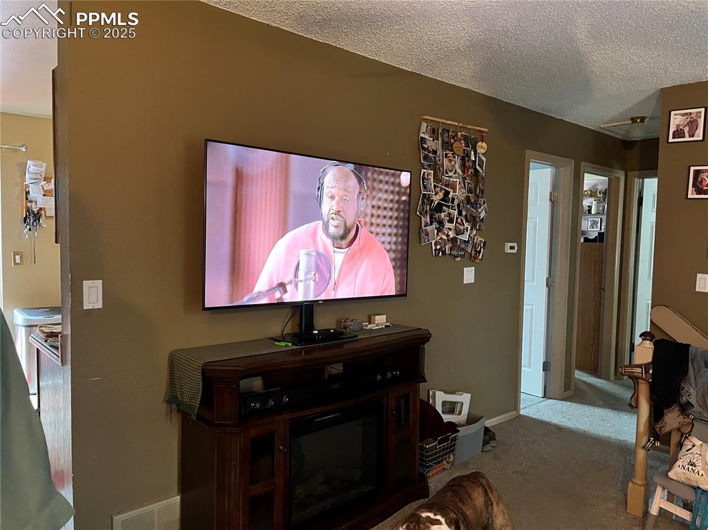 Image 7 of 17: Living area featuring a textured ceiling and carpet flooring