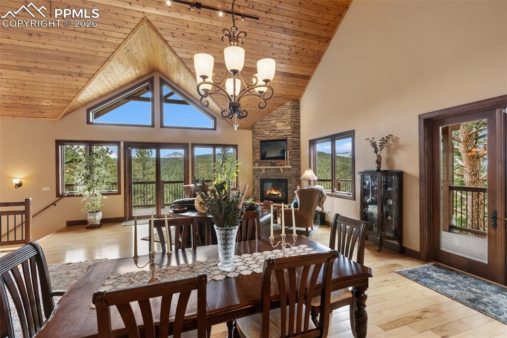 Image 12 of 48: Septic 