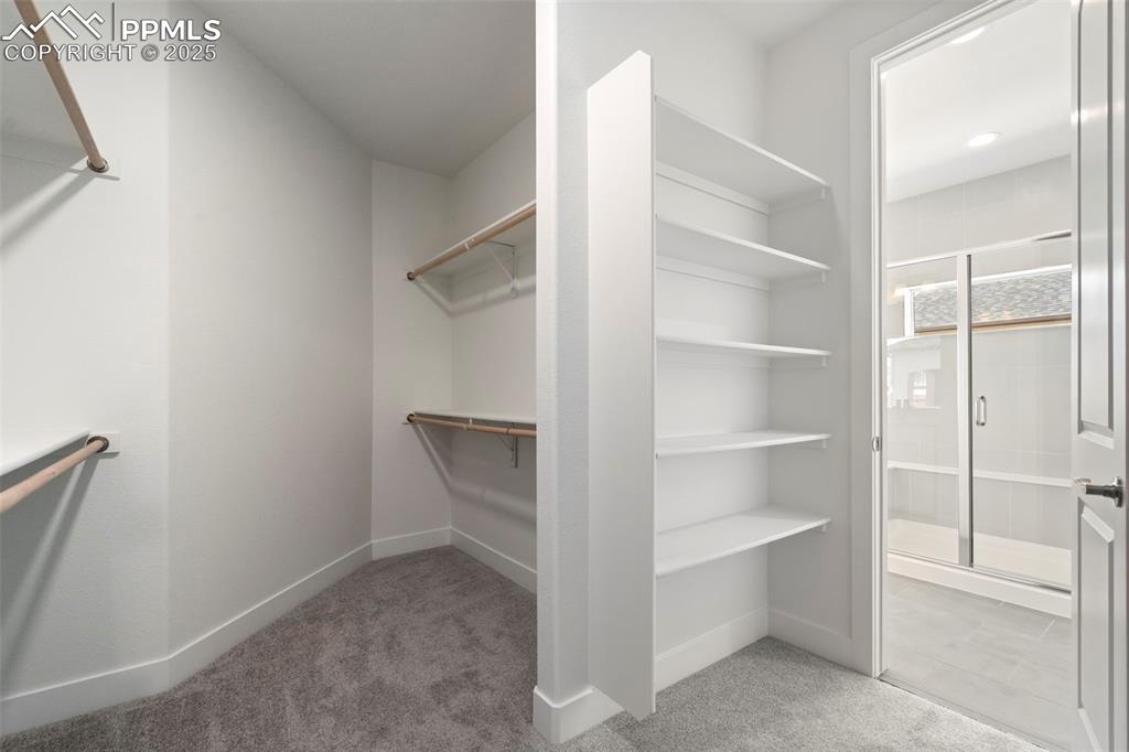 Image 28 of 34: Spacious closet with light carpet