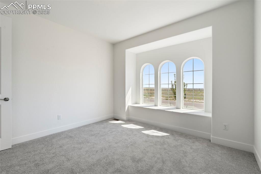 Image 30 of 34: Empty room with carpet and baseboards