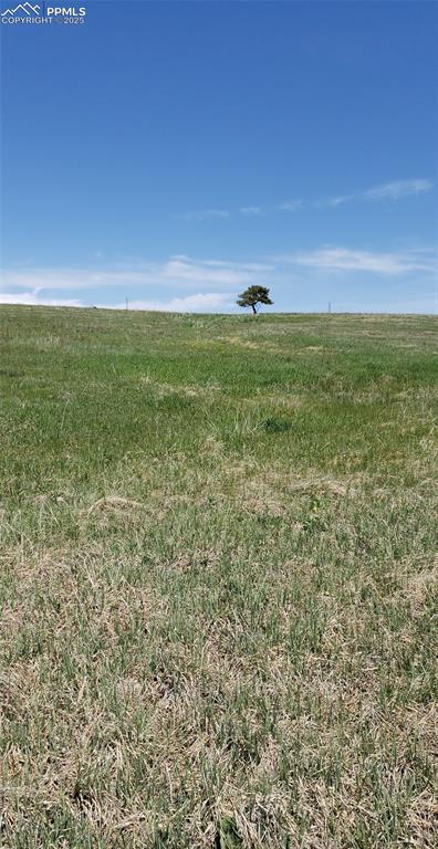 Image 2 of 12: Other