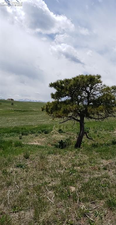 Image 4 of 12: Other