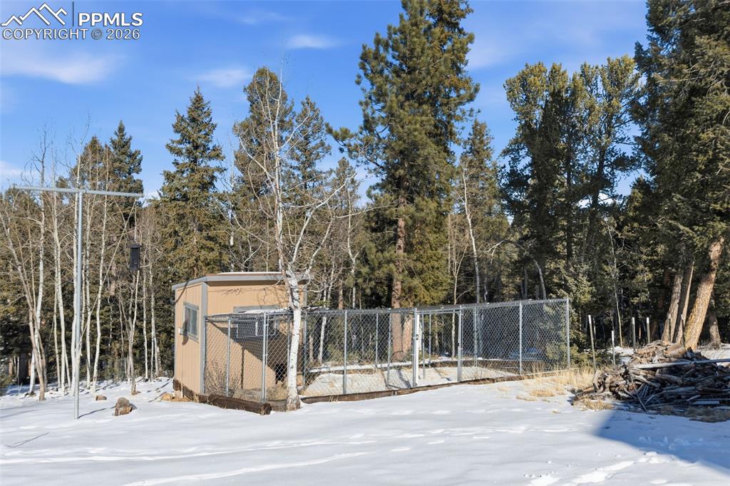 Image 28 of 36: Fenced on all sides dog run with electricity
