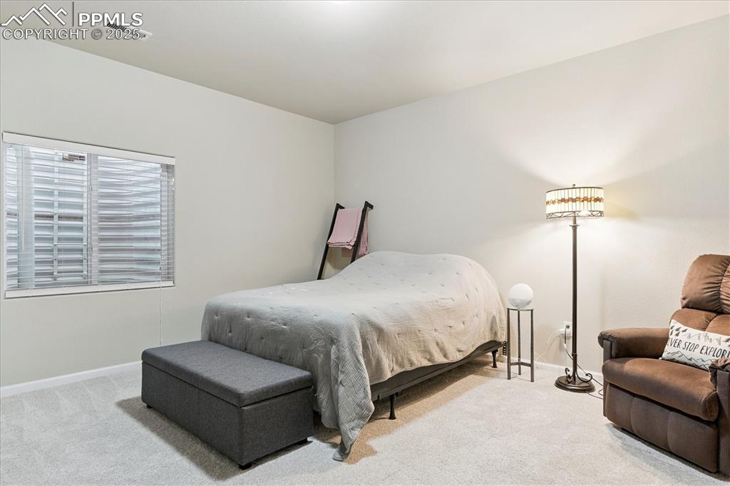Image 17 of 29: Large bedroom in basement with walk-in closet and egress window