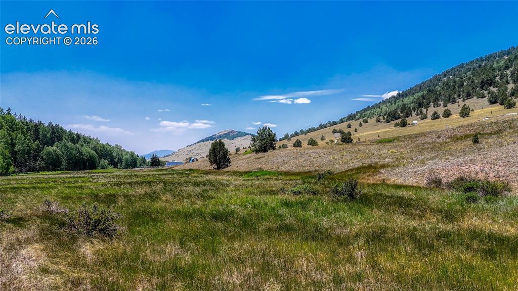 Image 17 of 25: View