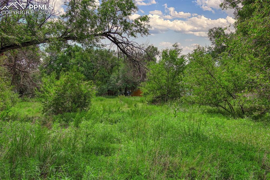 Image 10 of 11: Other