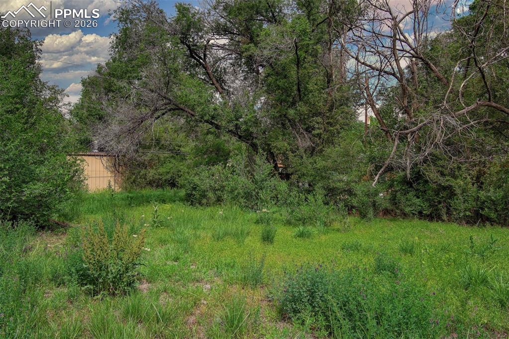 Image 2 of 11: Other