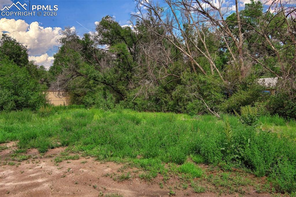 Image 8 of 11: Other