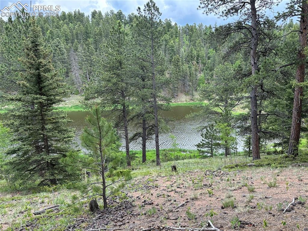 Image 3 of 19: View